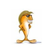 Ginccoo
