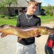 FishIlvars