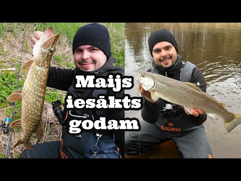 Pirmo reizi redzu tādu līdaku! Līdaku sezonas atklāšana un lašu sezonas ...